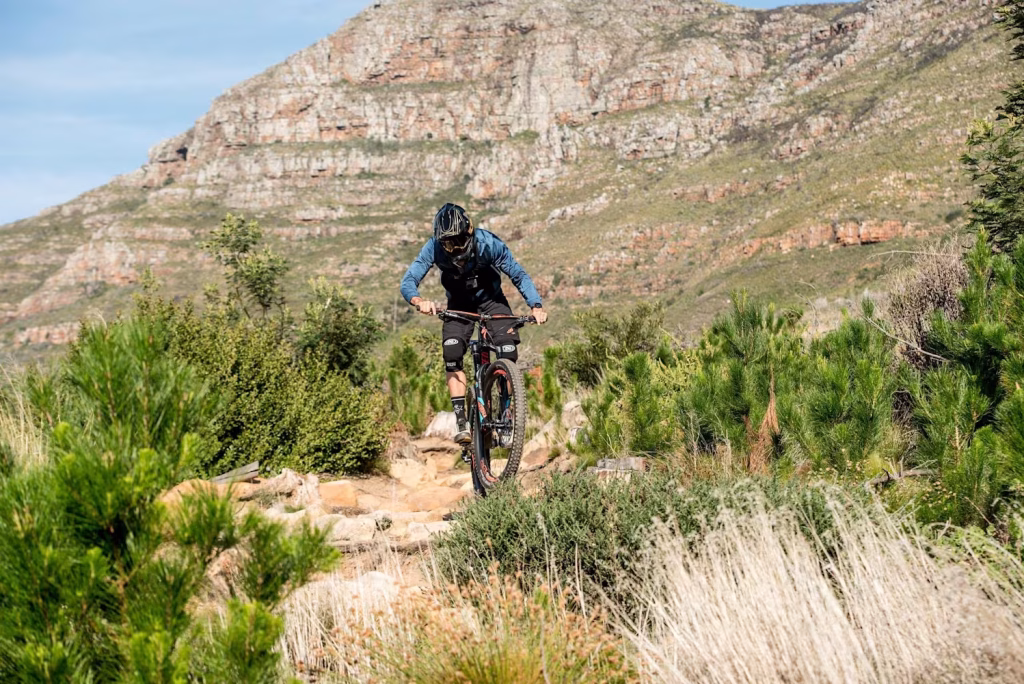 Mountain biking on the Tokai Forest trails, Cape Town